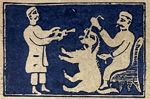 Illustration of two men removing a dog's tooth